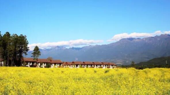 在最美的季節(jié)遇見(jiàn)你 雅居樂(lè)“上山下?！斌w驗(yàn)行