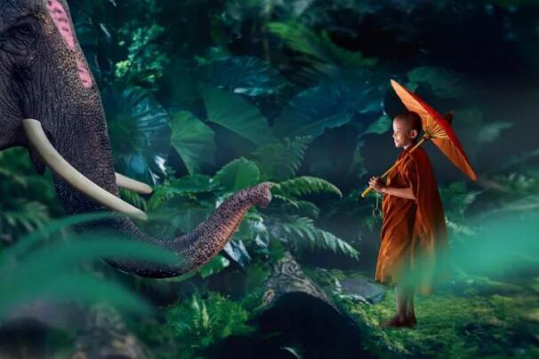 在最美的季節(jié)遇見(jiàn)你 雅居樂(lè)“上山下?！斌w驗(yàn)行