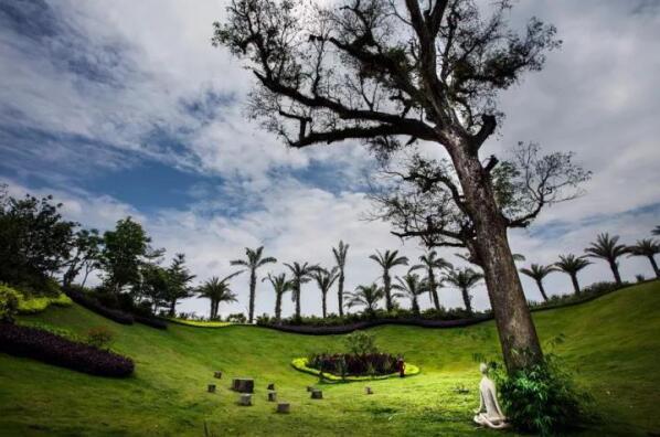 在最美的季節(jié)遇見(jiàn)你 雅居樂(lè)“上山下?！斌w驗(yàn)行