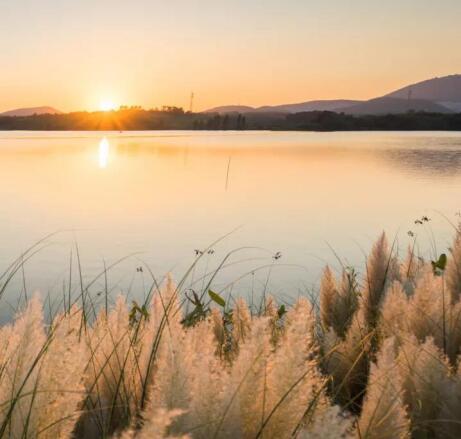 在最美的季節(jié)遇見(jiàn)你 雅居樂(lè)“上山下海”體驗(yàn)行