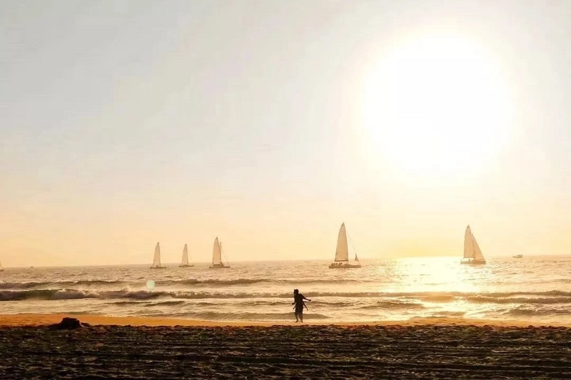 1557200542915241.jpg 010.jpg